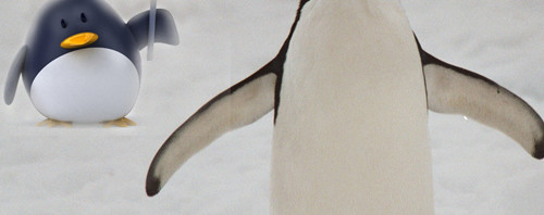 How to Survive the Google Penguin Update?