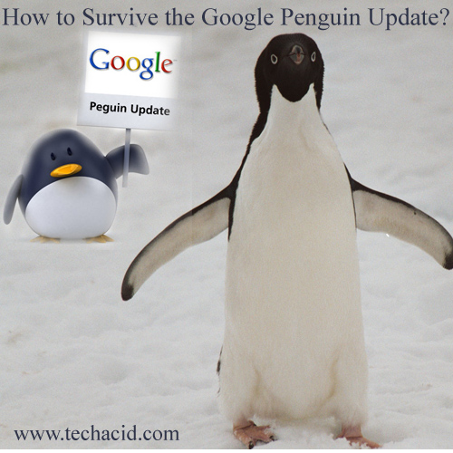 How to Survive the Google Penguin Update?