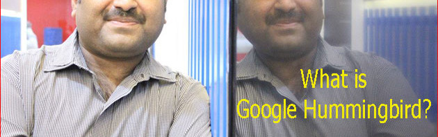 What is Google Hummingbird & its Impact on SEO!