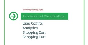 Professional-Web-Hosting