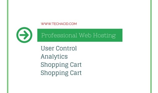 Professional-Web-Hosting